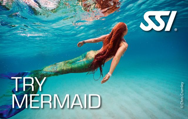 Rewers certyfikatu Try Mermaid
