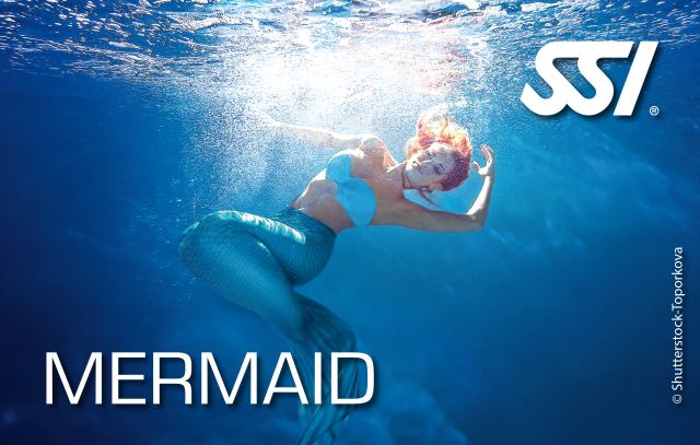 Rewers certyfikatu Mermaid